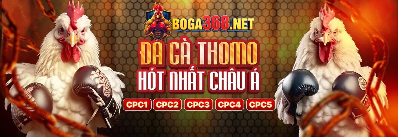 Đá gà và đua ngựa kịch tính tại Haybet